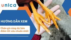 Hướng Dẫn Toàn Tập Cách Chuẩn Bị Chân Gà Cúng Đẹp Chuẩn Truyền Thống