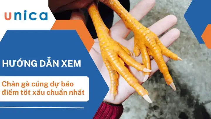 Hướng Dẫn Toàn Tập Cách Chuẩn Bị Chân Gà Cúng Đẹp Chuẩn Truyền Thống