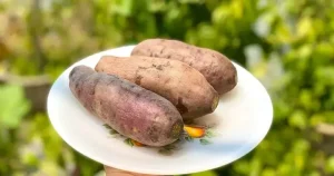 Cách Luộc Khoai Lang Thơm Ngon, Dẻo Quánh Chuẩn Vị