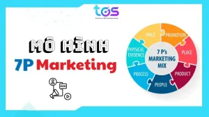 Kê Gà Là Gì? Tổng Tất Tần Tật Về Loại Nấm Quý Này