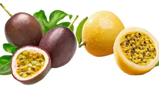 Chanh Dây Vàng Và Tím: So Sánh Chi Tiết Đặc Điểm Và Lợi Ích