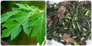 Lá Đu Đủ Xào Tỏi: Công Thức Chuẩn Vị Và Lợi Ích Sức Khỏe Bất Ngờ