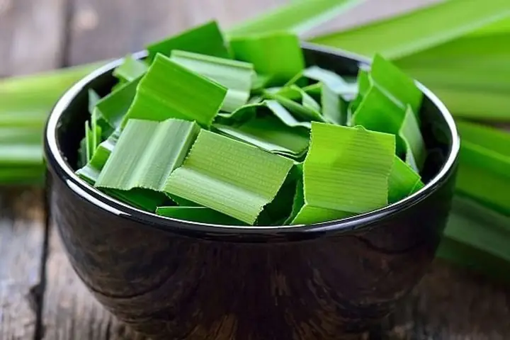Lá Dứa Và Lá Nếp Có Phải Là Một? Điểm Khác Biệt Và Công Dụng Tổng Hợp