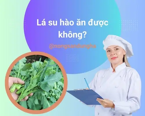 Lá Su Hào Ăn Được Không? Cách Chế Biến Và Lợi Ích Sức Khỏe Khoa Học