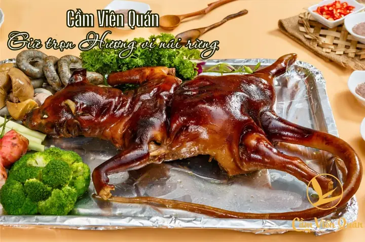 Lẩu Bồ Câu Thuốc Bắc: Công Thức Toàn Tập Và Bí Quyết Nấu Ngon