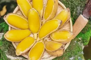 Luộc Chuối Bao Nhiêu Phút? Hướng Dẫn Chi Tiết Từng Loại