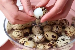 Luộc Trứng Không Bị Dính Vỏ