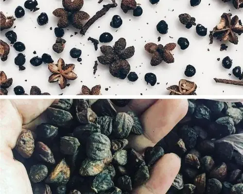 Hạt Mắc Khén Và Hạt Dổi: Đặc Sản Tây Bắc Và Cách Sử Dụng Đúng Cách