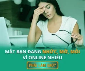 Mắt Heo Có Tác Dụng Gì? Phân Tích Khoa Học Về Dinh Dưỡng Và Lợi Ích