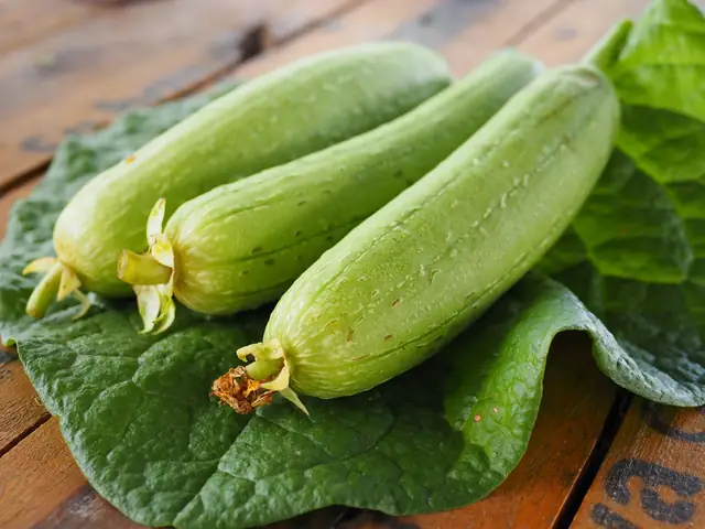 Mướp Hương Kỵ Với Gì