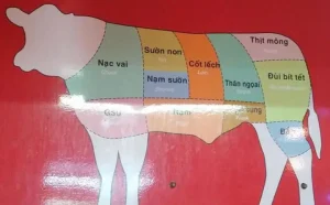 Nầm Bò Là Cái Gì
