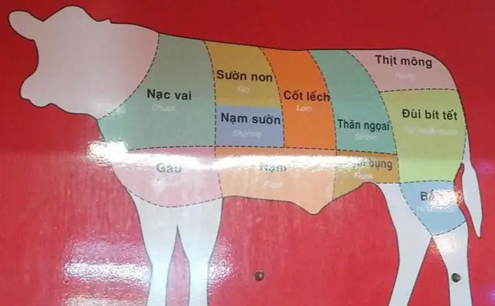 Nầm Bò Là Cái Gì
