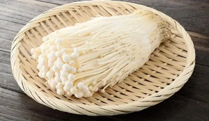 Nấm Kim Châm Giá Bao Nhiêu? Phân Tích Chi Tiết & Hướng Dẫn Mua Uy Tín
