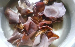 Nấm Mèo Ngâm Nước Nóng Hay Lạnh