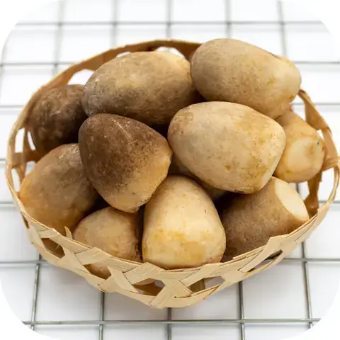 Nấm Rơm Nấu Bao Lâu Thì Chín? Hướng Dẫn Chi Tiết Từng Phương Pháp