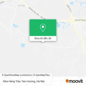 Nhà Hàng Trâu Tám Hương