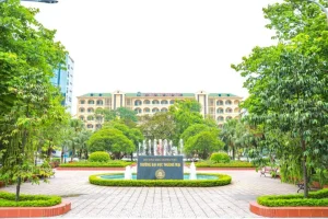 Đánh Giá Ô Mai Hà Nội: Bí Quyết Ngon Chuẩn Vị Từ Xưa Đến Nay