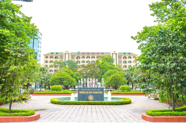 Đánh Giá Ô Mai Hà Nội: Bí Quyết Ngon Chuẩn Vị Từ Xưa Đến Nay