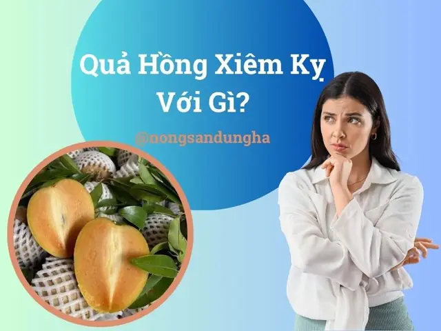 Hồng Xiêm Ăn Với Gì Là Kỵ? 5 Thực Phẩm Nguy Hiểm