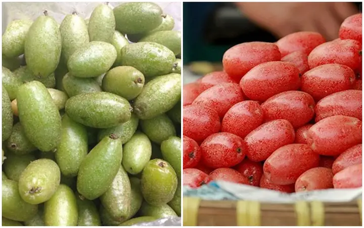 Quả Nhót Có Tác Dụng Gì