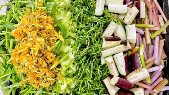Rau Ăn Lẩu Mắm Miền Tây: Cẩm Nang Lựa Chọn Và Thưởng Thức