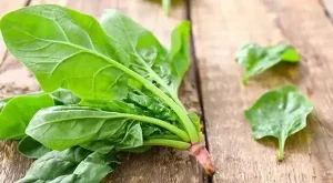 Rau Chân Vịt Kỵ Gì? 5 Nhóm Thực Phẩm Cần Tránh