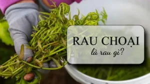 Rau Đọt Choại Có Tác Dụng Gì? 6 Lợi Ích Sức Khỏe Vàng
