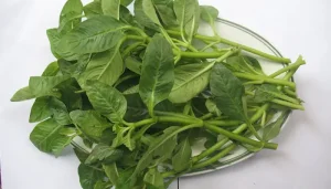Rau Rừng Ăn Bánh Xèo