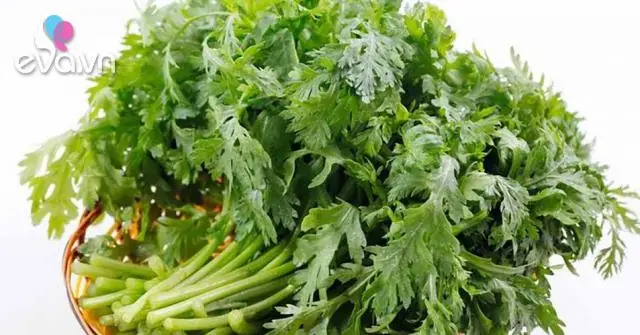 Rau Tần Ô: Tổng Tất Tần Tật Về Loại Rau Có Lợi Cho Sức Khỏe