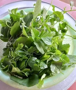 Rau Tập Tàng Miền Bắc
