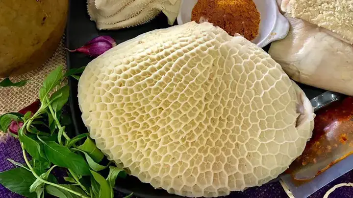Sách Bò Hay Xách Bò: Review Toàn Diện Và Đánh Giá Chân Thực