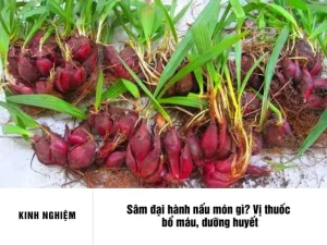 Sâm Đại Hành Nấu Món Gì? 7 Cách Chế Biến Bổ Dưỡng, Dễ Làm