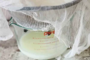 Sữa Chua Làm Từ Gì? Hướng Dẫn Chi Tiết Từ A-z