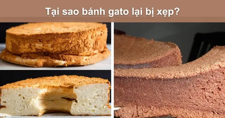 Tại Sao Bánh Bông Lan Bị Xẹp? Nguyên Nhân & Cách Khắc Phục Chi Tiết