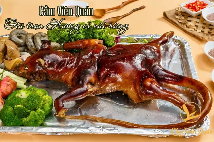 Công Thức Nấu Thịt Dúi Đậm Đà, Dễ Thành Công Tại Nhà