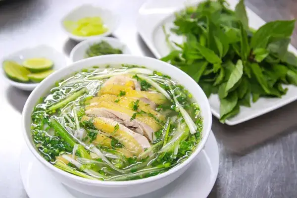 Cách Nấu Miến Gà Hà Nội Chuẩn Vị: Hướng Dẫn Chi Tiết Từ A Đến Z