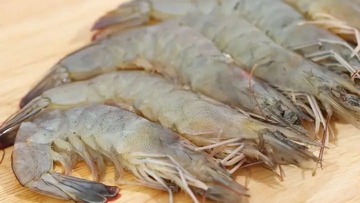 Tôm Lớt Là Tôm Gì