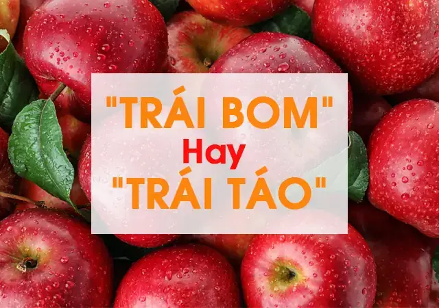 Bơ Và Táo: So Sánh Toàn Diện Giá Trị Dinh Dưỡng & Lợi Ích Sức Khỏe