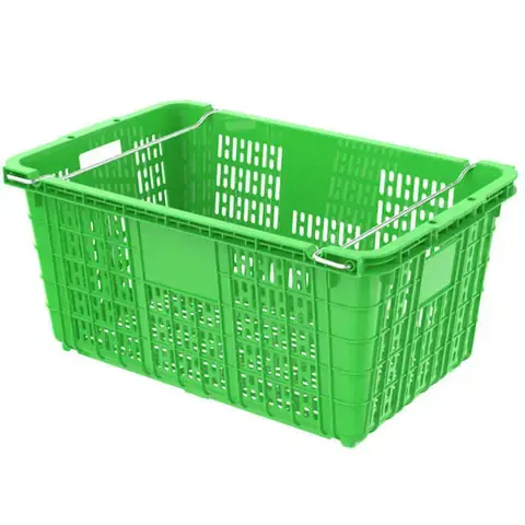 Trái Cây Màu Xanh Dương: Tổng Hợp Chi Tiết Các Loại & Lợi Ích Sức Khỏe