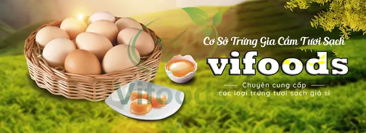 Trứng Gà Lộn Mua Ở Đâu? So Sánh Chi Tiết 4 Kênh Mua Uy Tín