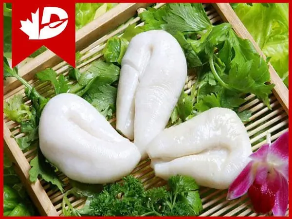 Trứng Mực Ăn Được Không? Tất Tần Tật Từ A Đến Z