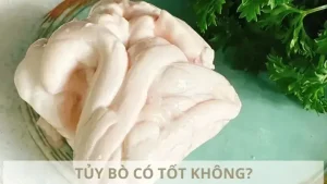 Tủy Bò Có Tác Dụng Gì? Tổng Hợp Lợi Ích & Cách Dùng An Toàn