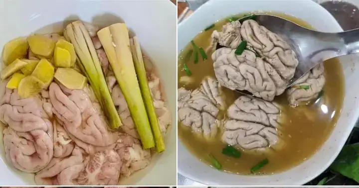 Tủy Heo Có Tác Dụng Gì? Tổng Hợp Lợi Ích Và Cách Dùng An Toàn
