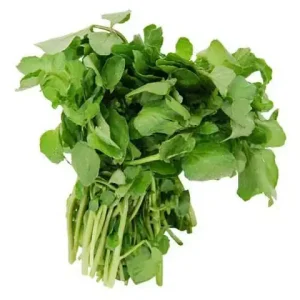 Top 3 Địa Chỉ Mua Xà Lách Son Đà Lạt Uy Tín Nhất