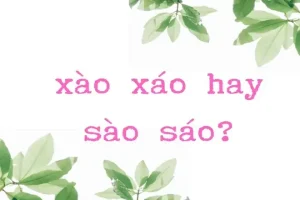 Xào Nấu: So Sánh Chi Tiết Các Phương Pháp & Bí Quyết Vàng