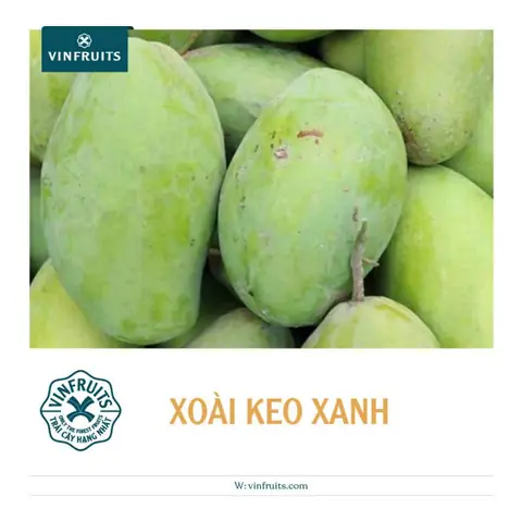 Xoài Keo Chua Hay Ngọt