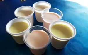 Đánh Giá Chi Tiết 5 Thương Hiệu Yaourt Phô Mai Tươi Ngọc Nhung Tốt Nhất
