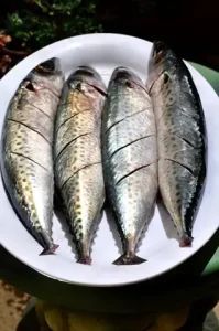 Top 5 Combo Cá Nướng Giấy Bạc Tốt Nhất: Đánh Giá Chi Tiết Và So Sánh