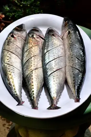 Top 5 Combo Cá Nướng Giấy Bạc Tốt Nhất: Đánh Giá Chi Tiết Và So Sánh