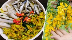 Bông Điên Điển Có Vị Gì